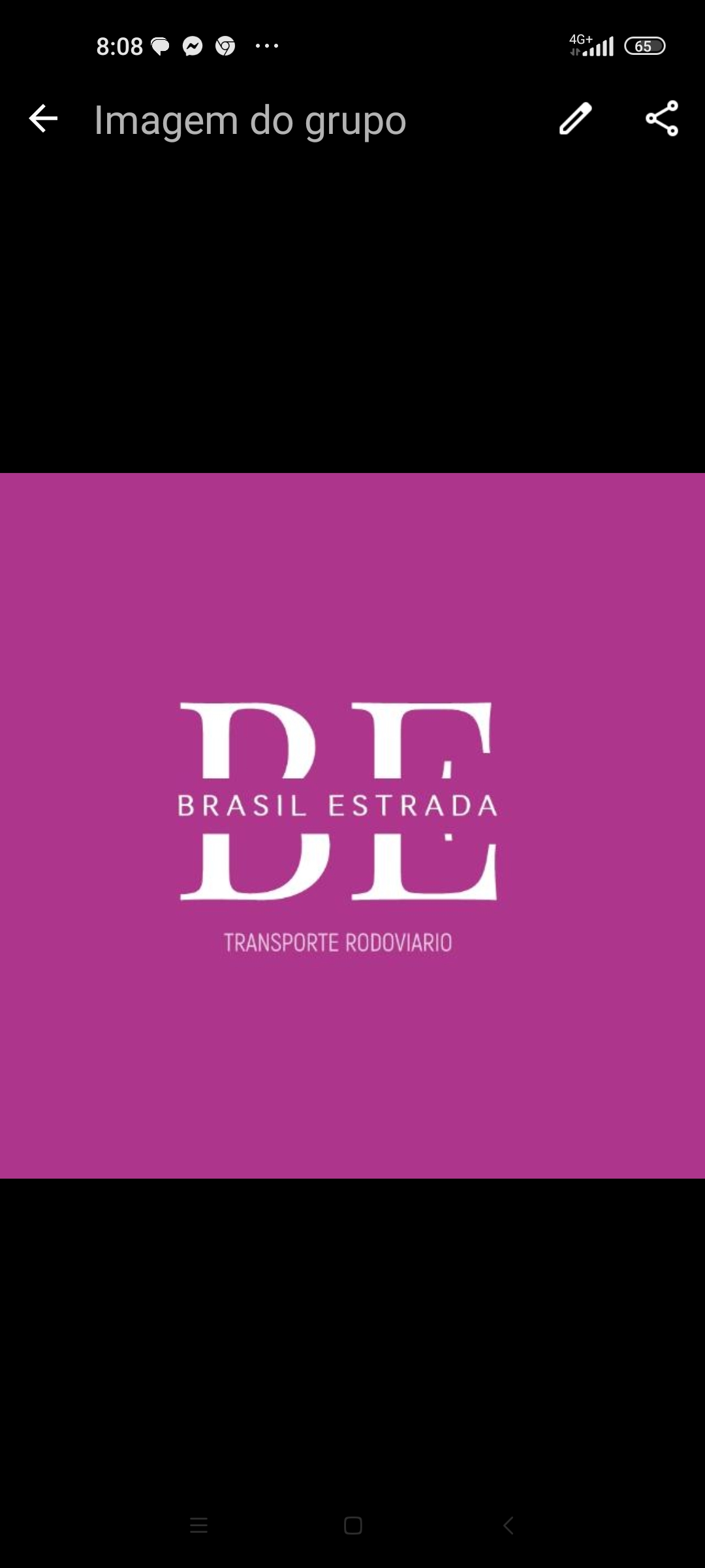 Logo BRASIL ESTRADA SERVICOS DE TRANSPORTE