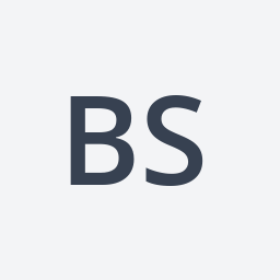 Logo Bsx