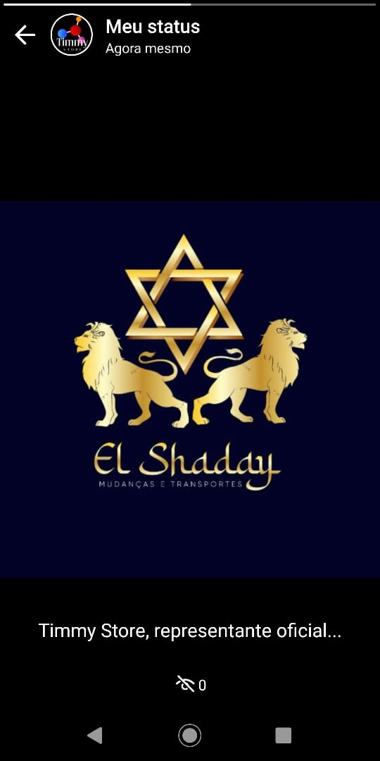 Logo EL SHADAY MUDANCAS E TRANSPORTE