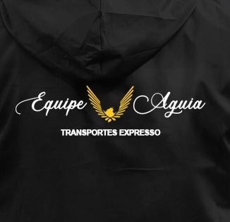Logo Equipe Águia Transportes