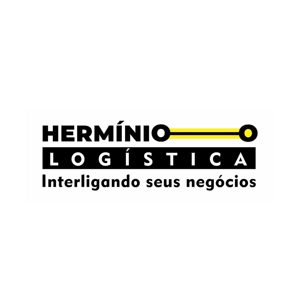 Logo HERMINIO LOGISTICA E NAVEGACAO