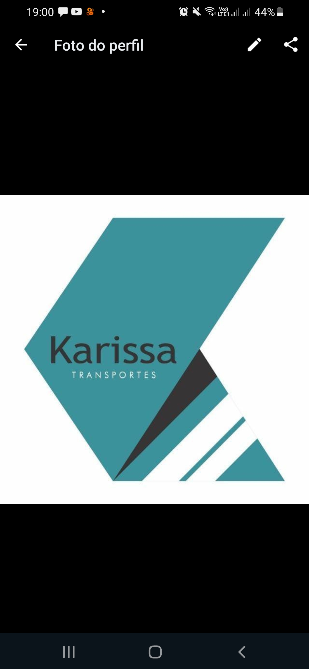 Logo Karissa Cargas