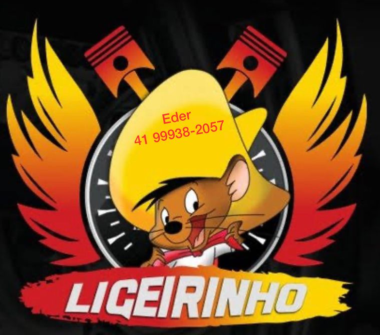 Logo Ligeirinho Transportes