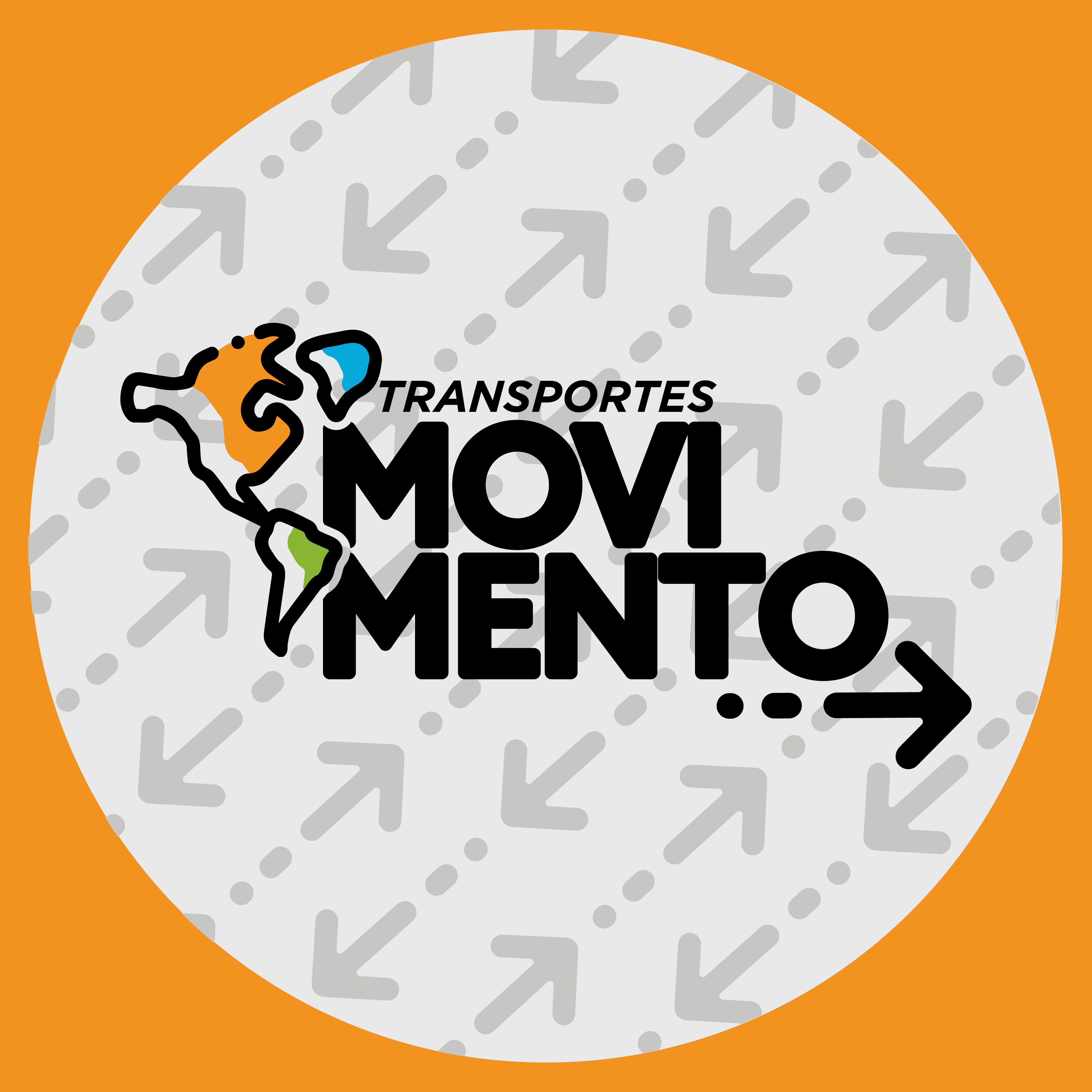 Logo Movimento Transporte