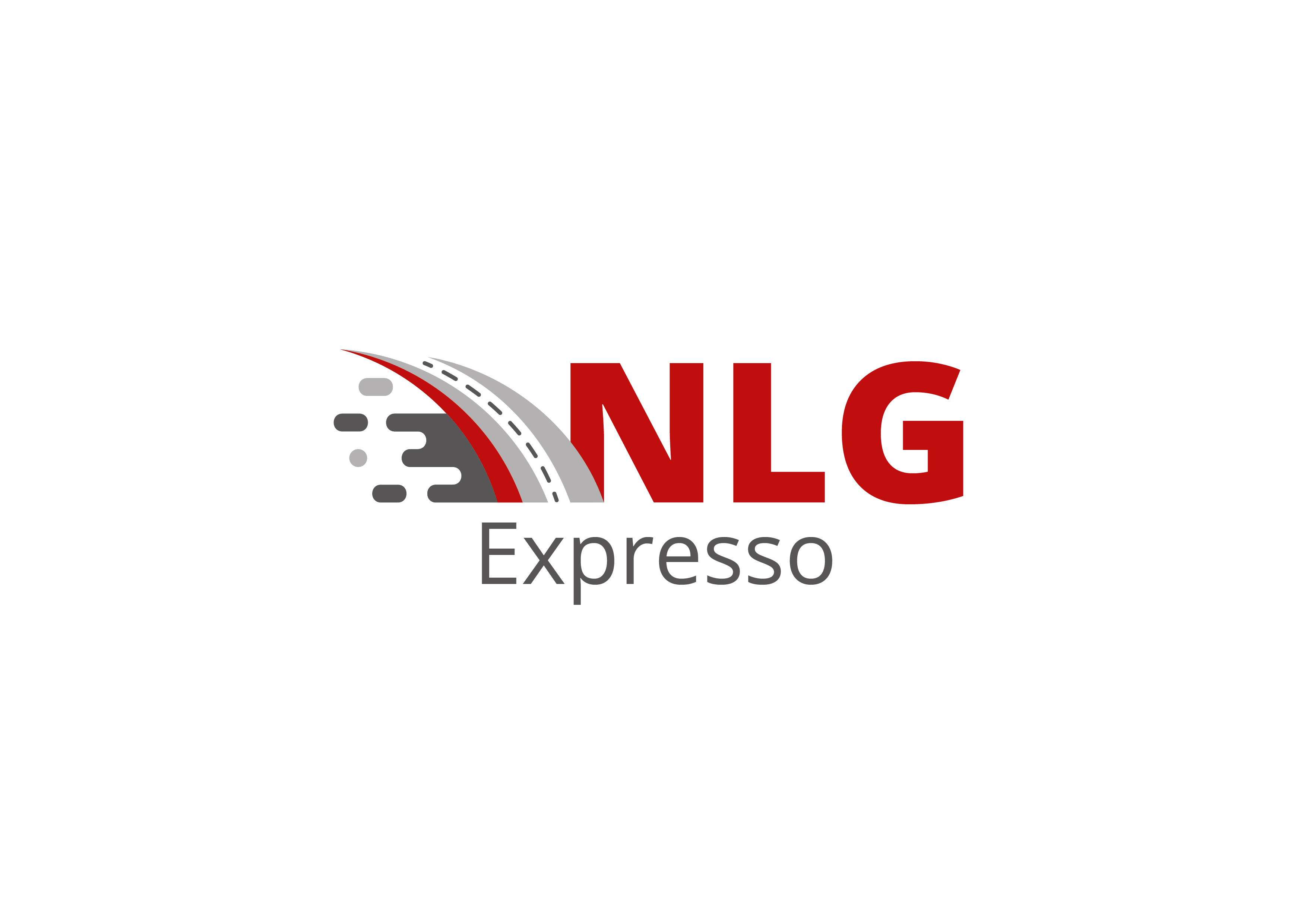 Logo Nlg Expresso E Logistica Ltda