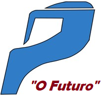 Logo Parceiro Transportes Ltda