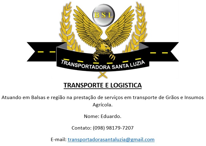 Logo Transportadora Santa Luzia Eireli